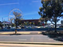 -墨尔本之星 观景摩天轮