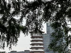 -黄兴南路步行商业街