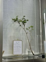 -三原色染发巴黎画染潮色漂色