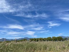-野鸭湖国家湿地公园