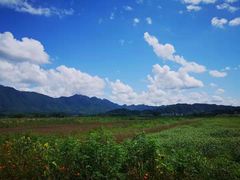 -新安江山水画廊风景区