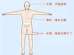 -北京儿童医院儿童保健中心