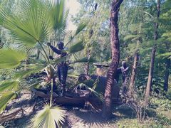 -苏州河梦清园环保主题公园