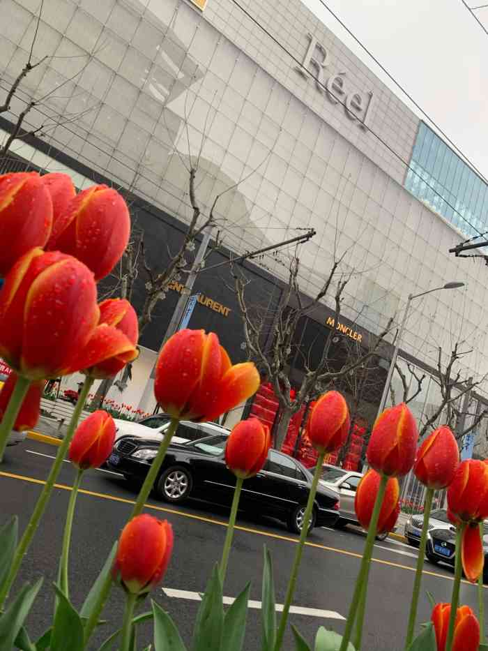 芮欧百货-"地铁7号线静安寺站6号口,一边是芮欧,一."-大众点评移动版