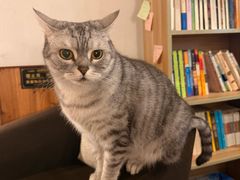 -隅cafe(傅厚岗店)