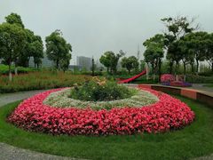 -春花秋色城市公园