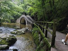 -牛背梁国家森林公园