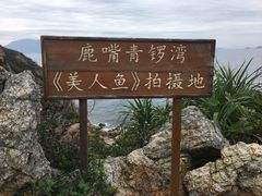 -杨梅坑