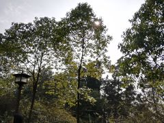 -富乐山