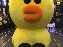 -LINE FRIENDS Garosu-gil Flagship Store