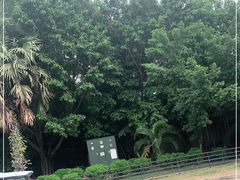 -亚龙湾热带天堂森林公园