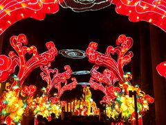 -欢乐海岸椰林沙滩-2025湾区超级灯会
