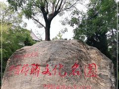 -大槐树寻根祭祖园