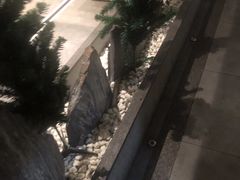 -雲龍足道(亳州路一店)