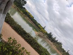 -五缘湾湿地公园