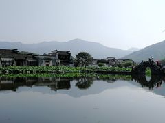 -临街徽菜馆·正宗黄山味