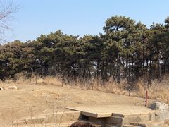 -沈阳森林动物园