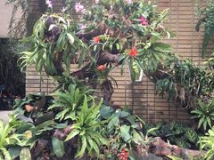 -麓湖高尔夫球俱乐部