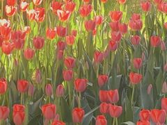 -长春公园(普阳街道)