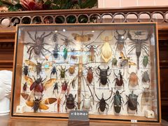 -恋物百货商店(华侨城店)