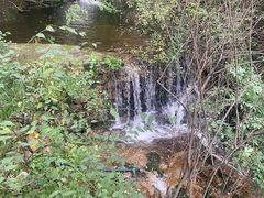 -王顺山国家森林公园