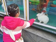 -上海崇明金茂凯悦酒店