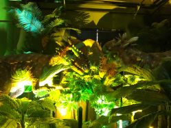 -恐龙探索乐园(磁器口店)