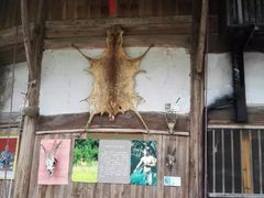 -林坑古村落