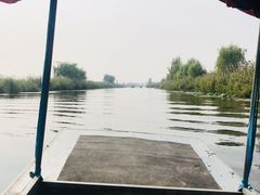 -白洋淀景区