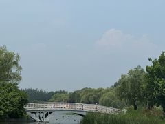 -大兴滨河森林公园
