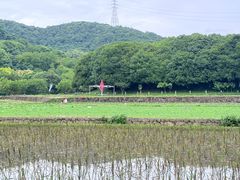 -八卦田遗址公园