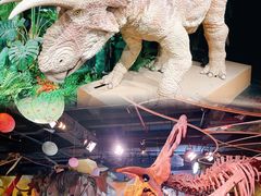 -正佳自然科学博物馆