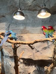 -Zoolung Zoolung动物主题公园(海信广场店)