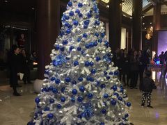 -无锡梁鸿湿地丽笙度假酒店·流觞西餐厅