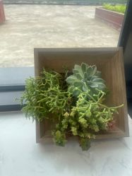 -爱儿美儿童摄影(奥森公园店)