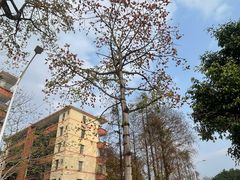 -长鹿旅游休博园