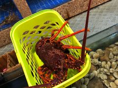 -皇朝海鲜酒店
