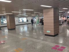 -大船律师团队