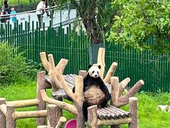 -沈阳森林动物园