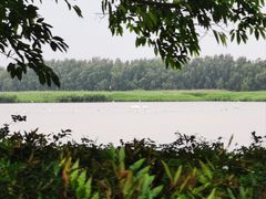 -南沙水鸟世界生态园