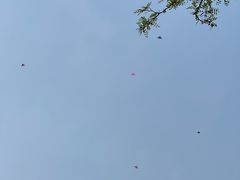 -太阳宫公园