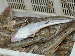 -崖口红树林海鲜餐厅