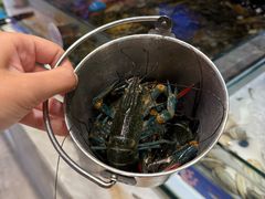 -川骄海鲜自助(亚运村店)