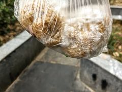 -六广门毛阿姨糯米饭