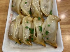 鲜肉锅贴-小姜锅贴(凤凰街店)
