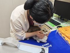 -瑞鹏宠物医院·骨外科·心肾科·肿瘤科(九亭店)