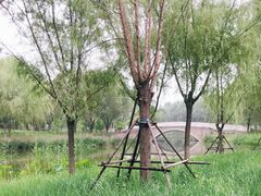 -东郊湿地公园