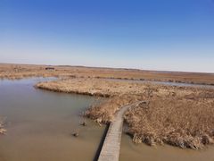 -盐城丹顶鹤湿地生态旅游区