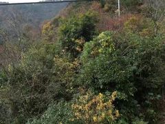 -东天目山风景区