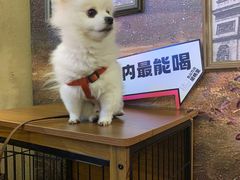-胡桃里音乐酒馆(仓山万达店)